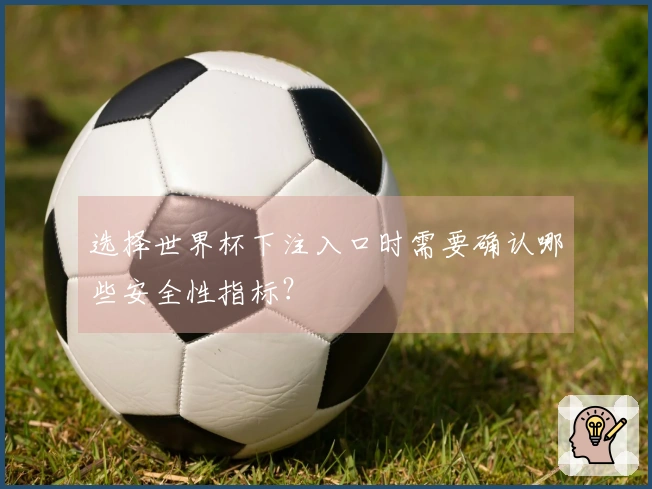 选择世界杯下注入口时需要确认哪些安全性指标？