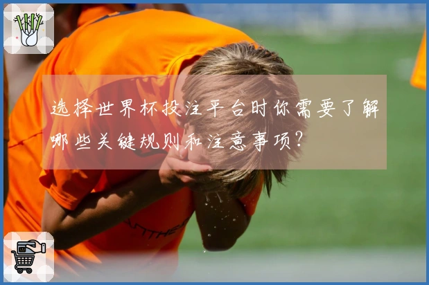 选择世界杯投注平台时你需要了解哪些关键规则和注意事项？