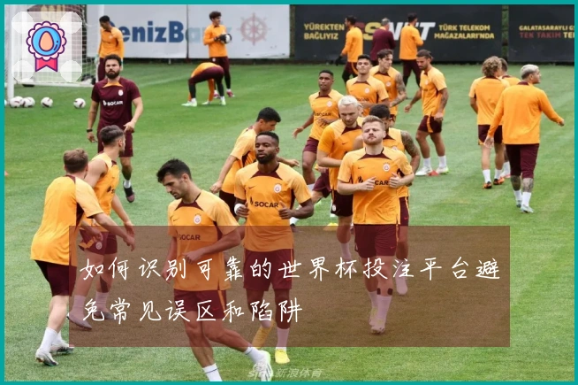 如何识别可靠的世界杯投注平台避免常见误区和陷阱