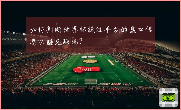 如何判断世界杯投注平台的盘口信息以避免踩坑？