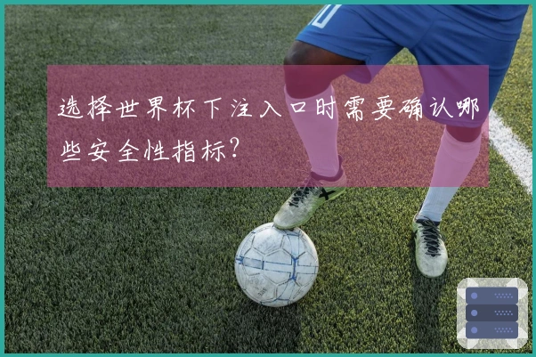 选择世界杯下注入口时需要确认哪些安全性指标？