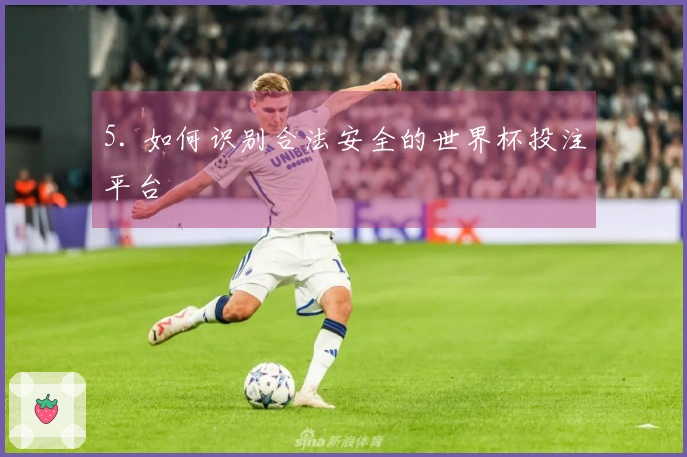 5. 如何识别合法安全的世界杯投注平台
