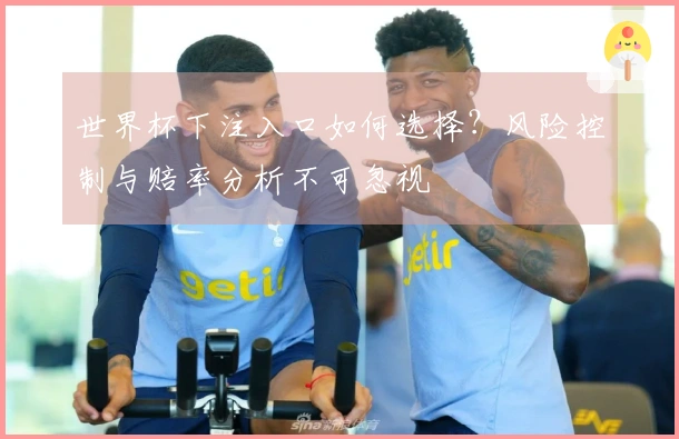 世界杯下注入口如何选择？风险控制与赔率分析不可忽视